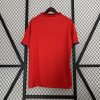 Spain Retro Soccer Jersey 2010 - Home Shirt